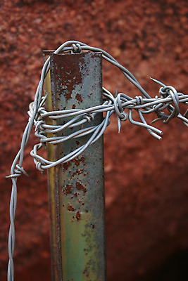 포토 JPG 해외이미지 산 사람없음 울타리 농장 금속 목장 경계선 시골 소 보호 위험 보안 날카로움 철사 서쪽 철강 콜로라도 해외202004 해외포토 선 컨셉 농업 포유류 재질 안전 담장 미국 방향 경계 파일형식 이미지허브