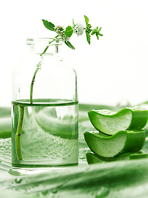 포토 JPG 해외이미지 얼굴 잎 재료 건강 가면 사람없음 치료 초록색 약 스파 화장품 신선 주름 가시 씻기 빨래 소중 허브 세제 피부 크림 순수 피부관리 진흙 테라피 내추럴 돌봄 수분크림 알로에 위생관리 노화 디톡스 해외202004 해외포토 식물 컬러 컨셉 가사 의학 모션 관리 신체부위 뷰티 청결 파일형식 이미지허브