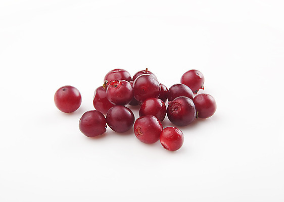 포토 JPG 해외이미지 열매 음식 자연 디저트 사람없음 빨간색 흰색 달콤 고립 해외202004 해외포토 식물 컬러 맛 생태계 파일형식 이미지허브