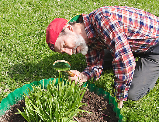 포토 JPG 해외이미지 식물 응시 계절 노년 꽃 잎 자연 유리 주택 관리 한명 사람 취미 새싹 봄 공구 업무 확대 질병 검색 원예 주목 총쏘기 캡모자 해외202004 해외포토 모자_잡화 1 시선 의학 모션 재질 성인 건물 도구 작업 생태계 파일형식 이미지허브