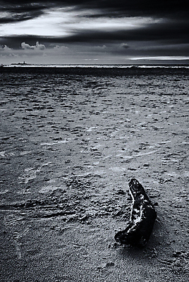 포토 JPG 해외이미지 유럽 자연 북유럽 노르웨이 풍경 사람없음 야외 스칸디나비아 해외202004 해외포토 나라 생태계 파일형식 이미지허브