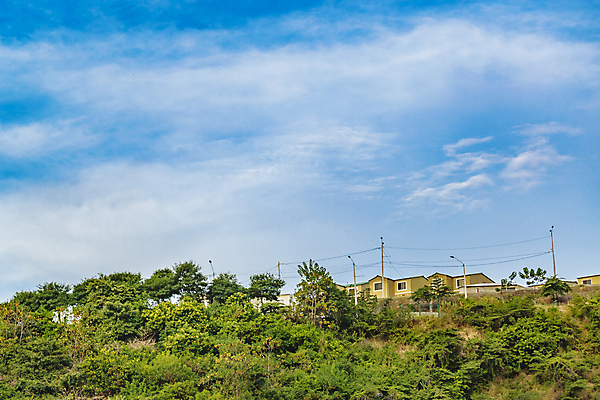 포토 JPG 해외이미지 외관 건축양식 교실 자연 아파트 주택 풍경 사람없음 건물 미국 재산 중앙 언덕 각도 커뮤니티 에콰도르 이웃 남쪽 교외 해외202004 해외포토 건축물 교육 건축 북아메리카 학교 금융 남아메리카 방향 생태계 파일형식 이미지허브
