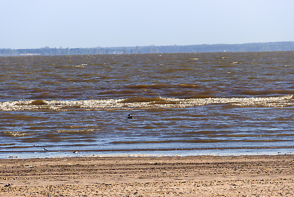 포토 JPG 해외이미지 나무 모래 바다 여행 백그라운드 자연 하늘 사람 풍경 사람없음 야외 초록색 물 여름 파란색 빛 강 햇빛 태양 반사 평화 미국 산책 흰색 도시 숲 남쪽 아르헨티나 고립 블러 해외202004 해외포토 자연요소 식물 계절 컬러 컨셉 북아메리카 휴식 남아메리카 방향 생태계 파일형식 이미지허브