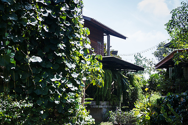포토 JPG 해외이미지 식물 꽃 자연 주택 풍경 잔디 사람없음 야외 목재 초록색 여름 컬러풀 햇빛 환경 정원 벚꽃 오솔길 지역 뒤뜰 생태학 정중 미니멀 해외202004 해외포토 나무 계절 교육 길 컬러 컨셉 재료 건물 태양 생태계 파일형식 이미지허브
