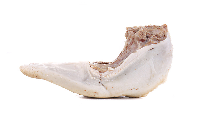 포토 JPG 해외이미지 동물 음식 조각 백그라운드 신체 재료 식이요법 육류 돼지고기 요리 사람없음 빨간색 쌓기 식사 소고기 추위 흰색 신선 소 오르간 큼 자르기 혀 먹기 만족 날것 모음 내추럴 점심식사 고립 단백질 삶기 생식 식품점 얇은 줄서기 해로움 해외202004 해외포토 감정 컬러 컨셉 식재료 포유류 모션 건강 상점 입 건반악기 크기 영양소 파일형식 이미지허브