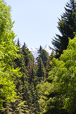 포토 JPG 해외이미지 유럽 겨울 자연 산 풍경 사람없음 여름 봄 가을 고도 언덕 러시아 로키산맥 해외202004 해외포토 계절 나라 생태계 파일형식 이미지허브