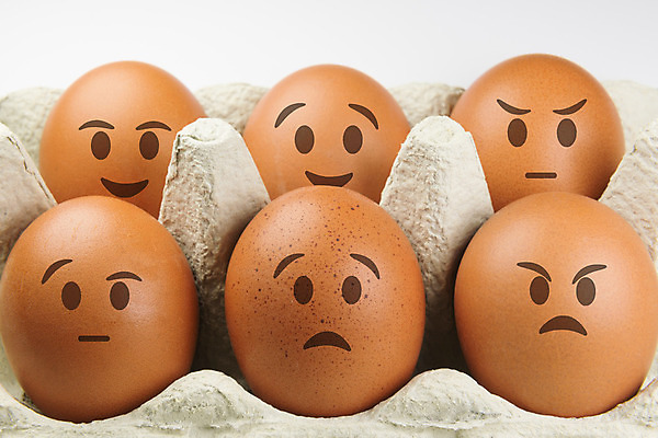 포토 JPG 해외이미지 행복 얼굴 컨셉 추상 사람없음 상자 계란 분노 껍질 흰색 표현 원형 입 유머 보호 나무껍질 판지 성격 취급주의 캡모자 혼자 유일 해외202004 해외포토 도형 나무 모자_잡화 감정 컬러 무늬 경고 신체부위 알 파일형식 이미지허브