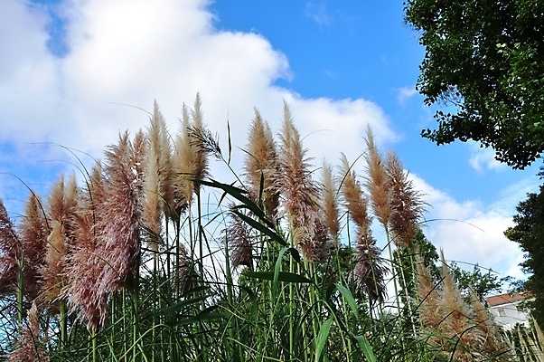 포토 JPG 해외이미지 구름 실루엣 건축양식 하늘 사람 사람없음 환경 행성 도시 생태계 공상 타운 리스본 생태학 해외202004 해외포토 자연요소 교육 건축 촬영기법 우주 파일형식 이미지허브