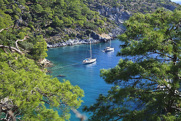 포토 JPG 해외이미지 나무 바다 여행 요트 자연 휴가 휴식 산 프레임 풍경 사람없음 야외 가로 초록색 물 여름 파란색 하이앵글 항구 맑음 나뭇가지 만 보트 크루즈 지중해 언덕 그림 휴양지 칠면조 파라다이스 해외202004 튀르키예 해외포토 자연요소 식물 계절 아시아 뷰포인트 컬러 컨셉 배_교통 교통시설 조류 날씨 장소 생태계 파일형식 이미지허브