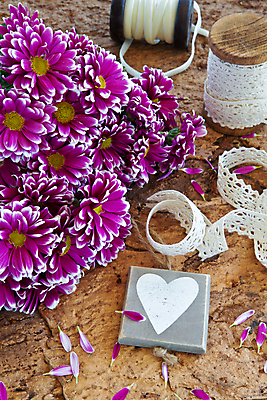 포토 JPG 해외이미지 꽃 리본 분홍색 꽃다발 백그라운드 발렌타인데이 선물 사랑 사람없음 목재 장식 세로 컬러풀 보라색 수확 벚꽃 신선 생일 개화 데이지 나무껍질 거베라 카피스페이스 해외202004 해외포토 나무 식물 기념일 감정 컬러 농업 재료 데이이벤트 공백 껍질 파일형식 이미지허브