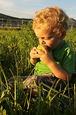 포토 JPG 해외이미지 1 라이프스타일 남자 아들 어린이 백그라운드 컨셉 밭 장난 건강 한명 사람 앉기 야외 초록색 파란색 금발 농장 일몰 흰색 아기 달콤 사과 작음 먹기 부드러움 걸음마 천진난만 해외202004 해외포토 헤어스타일 컬러 농업 과일 가족 모션 생활 노을 감각 맛 크기 파일형식 이미지허브