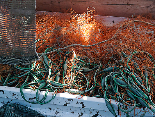 포토 JPG 해외이미지 산업 밧줄 바다 백그라운드 패턴 낚시 어류 취미 사람없음 물 침묵 장비 공구 잡기 업무 그물 어선 함선 상업 낚시꾼 올가미 망사 부표 구식 민물 옛날 해외202004 해외포토 자연요소 줄 무늬 배_교통 모션 레저 수중동물 소리 도구 직물 작업 파일형식 이미지허브