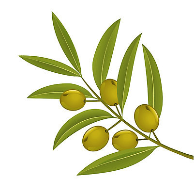 EPS 해외이미지 음식 잎 채소 과일 일러스트 재료 흰색 나뭇가지 신선 지중해 고립 숙성 오메가 추가 해외202004 해외일러스트 나무 식물 바다 컬러 파일형식 벡터 이미지허브