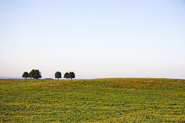 포토 JPG 해외이미지 나무 구름 계절 공원 잎 밭 농업 자연 하늘 풍경 잔디 사람없음 야외 가로 초록색 여름 파란색 햇빛 태양 농장 환경 봄 활발 자유 시골 고독 숲 땅 언덕 조경 장면 평야 수평선 해외202004 해외포토 자연요소 식물 공공시설 감정 산업 컬러 컨셉 생태계 파일형식 이미지허브