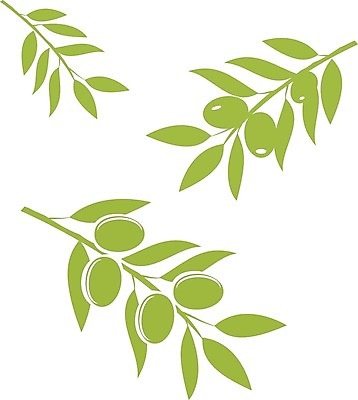 EPS 해외이미지 나무 식물 전통 라이프스타일 디자인 실루엣 문화 음식 백그라운드 잎 패턴 농업 곡선 다이어트 과일 일러스트 자연 건강 요리 목재 그래픽 장식 초록색 여름 평화 흰색 액체 약초 큼 지중해 먹기 심볼 그림 유기농 올리브 복고 내추럴 고립 옛날 해외202004 해외일러스트 웰빙 계절 열매 산업 선 바다 컬러 컨셉 무늬 재료 모션 촬영기법 생활 풀_식물 크기 생태계 파일형식 벡터 이미지허브