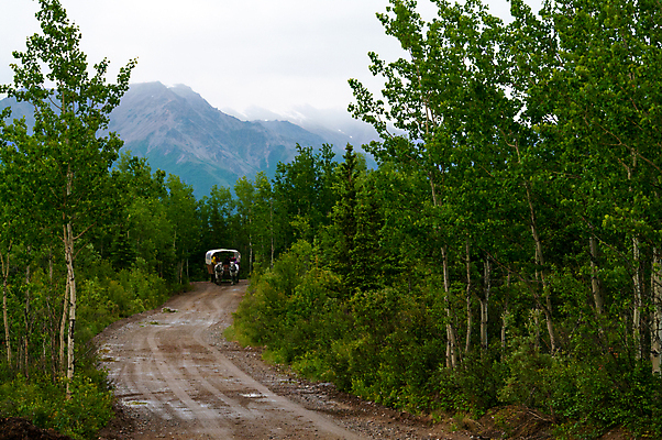 포토 JPG 해외이미지 나무 구름 교통시설 자연 하늘 풍경 사람없음 야외 목재 카트 수확 시골 바퀴 언덕 캔버스 알래스카 서쪽 옛날 해외202004 해외포토 자연요소 식물 교통 농업 재료 미국 방향 시설 생태계 파일형식 이미지허브