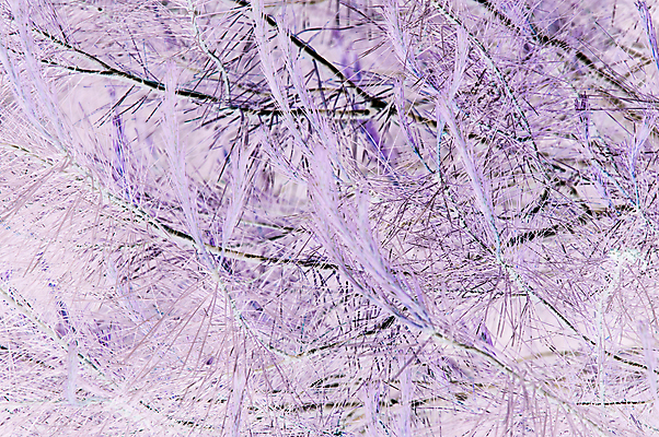 포토 JPG 해외이미지 나무 디자인 백그라운드 잎 크리스마스 겨울 패턴 밭 자연 벽지 추상 산 이끼 사람없음 햇빛 갈색 습기 젖음 촉촉함 안개 나뭇가지 소나무 신용카드 숲 에코 질감 통나무 부드러움 암초 공상 가문비나무 효과 해외202004 해외포토 식물 계절 기념일 컬러 무늬 농업 날씨 금융 태양 환경 감각 생태계 파일형식 이미지허브