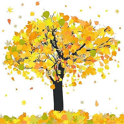 EPS 해외이미지 나무 식물 디자인 계절 백그라운드 단풍 잎 오렌지 일러스트 그래픽 빨간색 갈색 노란색 손상 가을 얼룩 거친 고민 질감 내추럴 엘리먼트 플라타너스 해외202004 해외일러스트 감정 컬러 컨셉 과일 파일형식 벡터 이미지허브