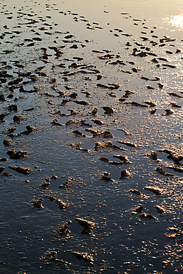 포토 JPG 해외이미지 여행 영국 잉글랜드 풍경 사람없음 물 강 반사 일출 항구 가을 습지 트랙 진흙 단계 침몰 해외202004 해외포토 자연요소 계절 유럽 교통시설 노을 파일형식 이미지허브