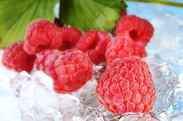 포토 JPG 해외이미지 열매 음식 과일 디저트 사람없음 빨간색 얼음 신선 달콤 날것 산딸기 해외202004 해외포토 자연요소 식물 컬러 맛 파일형식 이미지허브