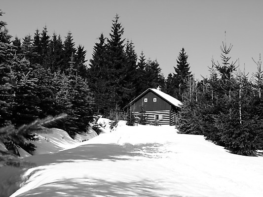 포토 JPG 해외이미지 나무 전통 계절 크리스마스 겨울 자연 하늘 휴가 산 주택 흑백 풍경 사람없음 야외 건물 목재 평화 맑음 냉동 검은색 화목 추위 흰색 시골 신선 숲 오두막 시골집 체코 샬레 눈내림 가문비나무 해외202004 해외포토 식물 건축물 기념일 유럽 컬러 컨셉 재료 날씨 눈_날씨 촬영기법 실험기구 생태계 파일형식 이미지허브