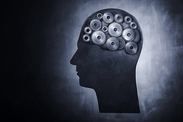 포토 JPG 해외이미지 실루엣 과학 컨셉 생각 아이디어 실내 창조 사람 사람없음 머리 기계 뇌 톱니바퀴 문제 기어 성격 지능 브레인스토밍 해외202004 해외포토 촬영기법 내부 신체부위 파일형식 이미지허브