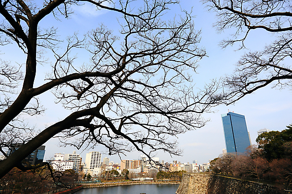 포토 JPG 해외이미지 사람없음 일본 도시 오사카 해외202004 해외포토 아시아 파일형식 이미지허브