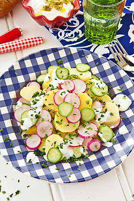 포토 JPG 해외이미지 접시 음식 빵 채소 오이 감자 사람없음 빨간색 세로 초록색 파란색 컬러풀 식사 샐러드 시골 신선 허브 유기농 체크무늬 슬라이스 요거트 마요네즈 쪽파 핸드메이드 카피스페이스 바이에른사람 해외202004 해외포토 식물 식기 웰빙 컬러 무늬 유제품 공백 소스_음식 파 파일형식 이미지허브