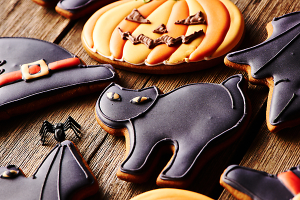 포토 JPG 해외이미지 백그라운드 탁자 디저트 사람없음 장식 쿠키 고양이 할로윈 가을 달콤 거미 박쥐 마녀모자 잭오랜턴 핸드메이드 호러 해외202004 해외포토 모자_잡화 계절 음식 가구 곤충 포유류 반려동물 맛 공포 파일형식 이미지허브