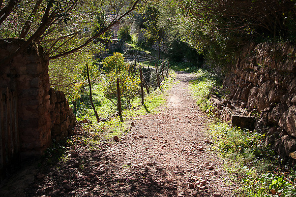 포토 JPG 해외이미지 길 자연 산 풍경 사람없음 야외 맑음 봄 트래킹 하이킹 스페인 숲 내추럴 해외202004 해외포토 계절 유럽 레저 날씨 생태계 파일형식 이미지허브