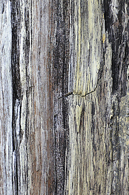 포토 JPG 해외이미지 나무 벽 백그라운드 패턴 사람없음 목재 거래 널 질감 옛날 해외202004 해외포토 식물 무늬 재료 파일형식 이미지허브