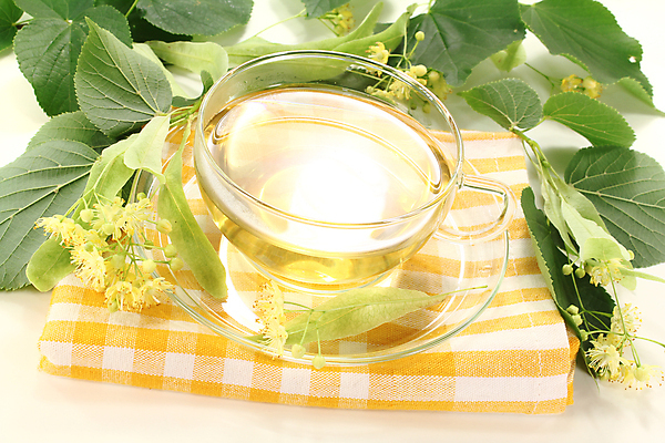 포토 JPG 해외이미지 잎 자연 유리 휴식 건강 사람없음 초록색 약 노란색 벚꽃 신선 잠 열 수집 허브 라임 조제 해외202004 해외포토 식물 꽃 컬러 컨셉 과일 의학 재질 생태계 만들기 파일형식 이미지허브