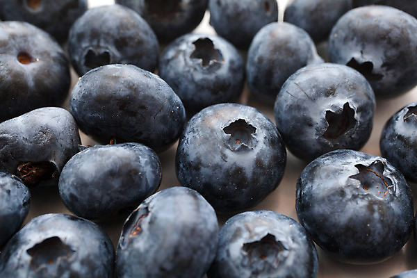 포토 JPG 해외이미지 열매 음식 백그라운드 농업 다이어트 과일 재료 자연 디저트 건강 사람없음 여름 파란색 신선 그룹 달콤 맛 먹기 유기농 블루베리 날것 블랙베리 숙성 해외202004 해외포토 식물 웰빙 계절 산업 컬러 컨셉 모션 생태계 파일형식 이미지허브