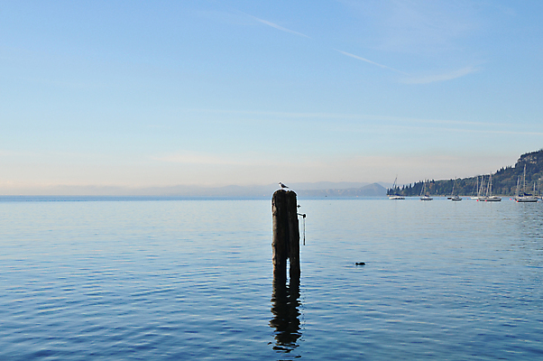 포토 JPG 해외이미지 호수 밧줄 요트 갈매기 조류 하늘 산 사람없음 목재 물 파란색 반사 항구 이탈리아 흰색 만 정박 방파제 봉 해외202004 해외포토 자연요소 나무 동물 공공시설 유럽 줄 컬러 배_교통 재료 교통시설 파일형식 이미지허브