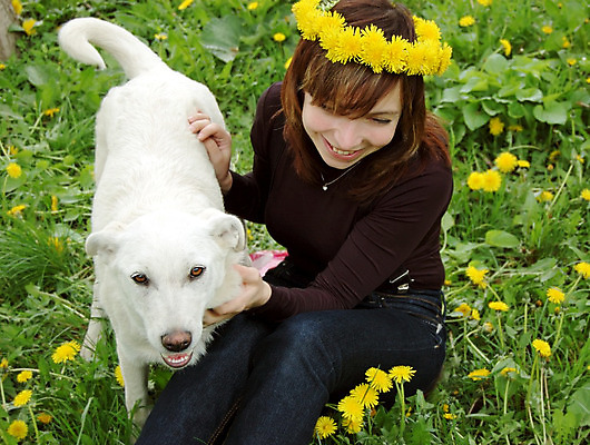 포토 JPG 해외이미지 백인 행복 얼굴 자연 놀이 사랑 한명 웃음 야외 친구 반려동물 우정 기쁨 흰색 잡기 개 민들레 송곳니 동반자 해외202004 해외포토 서양인 동물 1 꽃 감정 컬러 포유류 관계 모션 표정 사람 신체부위 치아 생태계 파일형식 이미지허브