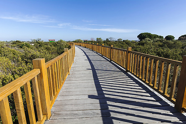 포토 JPG 해외이미지 나무 식물 공원 길 백그라운드 잎 자연 하늘 휴식 풍경 사람없음 야외 목재 초록색 여름 파란색 갈색 평화 환경 산책 산책로 하이킹 오솔길 내추럴 철책 해외202004 해외포토 계절 공공시설 컬러 컨셉 재료 레저 생태계 파일형식 이미지허브