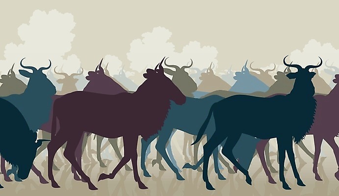 EPS 해외이미지 동물 실루엣 야생동물 일러스트 포유류 아프리카 자연 초식동물 뿔 서기 컬러풀 걷기 그룹 군중 먹이 윤곽 영양 해외202004 해외일러스트 나라 컬러 모션 촬영기법 사람 생태계 파일형식 벡터 이미지허브