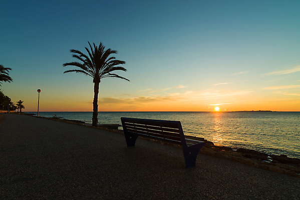포토 JPG 해외이미지 유럽 벤치 풍경 사람없음 가로 야자수 일출 침묵 일몰 산책로 스페인 지중해 알리칸테 카피스페이스 해외202004 해외포토 나무 나라 길 바다 의자 노을 소리 공백 파일형식 이미지허브
