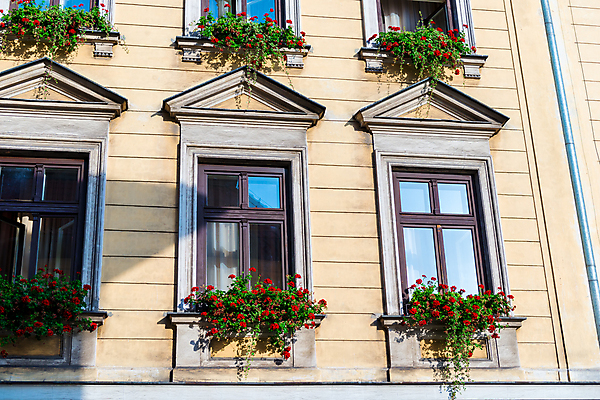 포토 JPG 해외이미지 식물 전통 외관 꽃 유럽 벽 백그라운드 꽃무늬 건축양식 창문 자연 유리 거리 주택 프레임 사람없음 야외 건물 목재 장식 빨간색 초록색 여름 봄 수확 벚꽃 바위 시골 도시 개화 냄비 지중해 묘사 복고 타운 석고 옛날 스타일 해외202004 해외포토 나무 건축물 계절 건축 나라 바다 컬러 무늬 농업 재료 재질 돌_바위 솥 생태계 파일형식 이미지허브