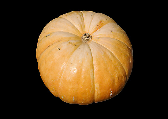 포토 JPG 해외이미지 음식 농업 채소 오렌지 호박 휴가 요리 사람없음 장식 농장 축제 할로윈 수확 가을 인사 큼 유기농 추수감사절 내추럴 식용 해외202004 해외포토 웰빙 계절 산업 기독교 과일 예절 크기 파일형식 이미지허브