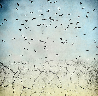 포토 JPG 해외이미지 구름 종이 지구 벽 백그라운드 패턴 밭 일러스트 자연 조류 하늘 추상 프레임 풍경 사람없음 야외 장식 파란색 컬러풀 갈색 노란색 페인트 공백 사막 수확 골동품 얼룩 질감 복고 캔버스 페이지 찢어짐 그런지 양피지 옛날 원고 노화 해외202004 해외포토 자연요소 동물 컬러 컨셉 무늬 농업 모션 생태계 파일형식 이미지허브