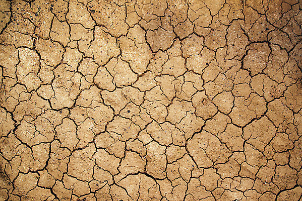 포토 JPG 해외이미지 계절 지구 백그라운드 자연 표면 날씨 추상 건조 사람없음 야외 글로벌 갈색 환경 흙 사막 거친 변화 땅 질감 먼지 지역 가뭄 땅바닥 생태학 해외202004 해외포토 교육 컬러 컨셉 무늬 바닥 생태계 파일형식 이미지허브