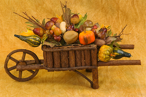 포토 JPG 해외이미지 꽃 음식 백그라운드 잎 채소 호박 사람없음 목재 장식 화환 버섯 수레 견과류 수확 가을 시골 직물 면 통나무 호두 도토리 박 추수감사절 스쿼시 해외202004 해외포토 나무 식물 계절 기독교 스포츠 농업 재료 구기 카트 파일형식 이미지허브