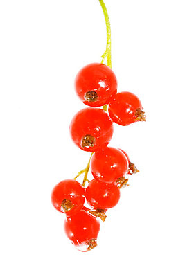 포토 JPG 해외이미지 식물 열매 음식 다이어트 과일 자연 디저트 건강 사람없음 빨간색 흰색 신선 달콤 맛 다발 먹기 묘사 유기농 날것 건포도 숙성 식용 타르트 해외202004 해외포토 웰빙 빵 컬러 컨셉 모션 포도 생태계 파이_빵 건과일 파일형식 이미지허브