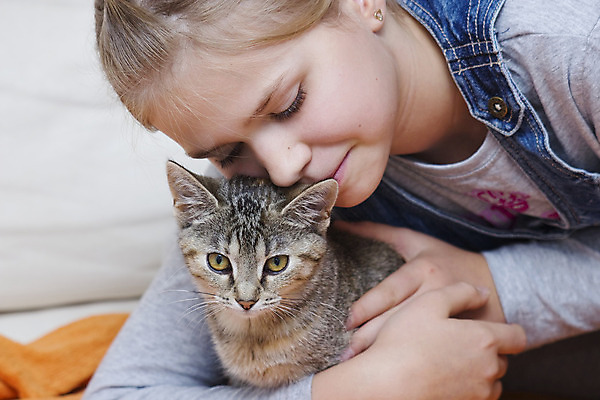 포토 JPG 해외이미지 동물 백인 딸 유럽 얼굴 어린이 장난 가족 포옹 놀이 친절 사랑 한명 사람 반려동물 고양이 우정 기쁨 회색 게임 아기 잡기 달콤 긍정 돌봄 유래 천진난만 해외202004 해외포토 서양인 1 감정 나라 컬러 컨셉 포유류 관계 안기 모션 신체부위 친구 맛 파일형식 이미지허브