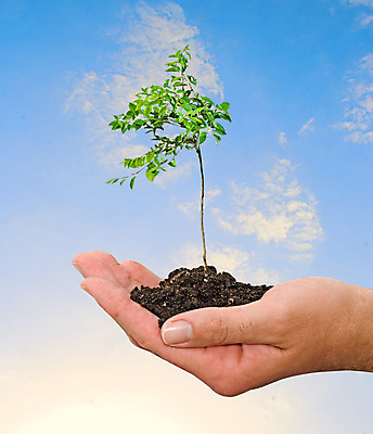 포토 JPG 해외이미지 나무 식물 구름 손 지구 잎 농업 오렌지 자연 하늘 귤 손바닥 사람 사람없음 초록색 금융 흙 성장 닫기 보호 팔 밭일 생태학 해외202004 해외포토 자연요소 교육 산업 컬러 컨셉 과일 모션 신체부위 경제 생태계 파일형식 이미지허브