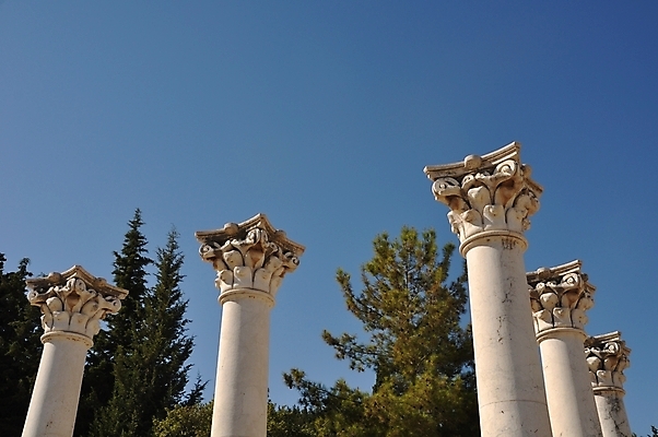 포토 JPG 해외이미지 나무 전통 유럽 섬 여행 유적 건축양식 학교 자연 하늘 병원 풍경 사람없음 야외 치료 파란색 약 바위 사찰 역사 그리스 폐허 그림 박물관 대리석 타운 그리스인 고고학 로마인 옛날 전국 해외202004 해외포토 서양인 식물 교육 건축 나라 컬러 재료 의학 종교건축 인종 도시 생태계 파일형식 이미지허브