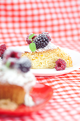 포토 JPG 해외이미지 접시 디자인 열매 음식 조각 백그라운드 다이어트 과일 디저트 건강 사람없음 장식 빨간색 초록색 컬러풀 소풍 케이크 초콜릿 얼음 빵집 견과류 흰색 축하 대접 신선 우아함 달콤 맛 컵케이크 먹기 민트 컵받침 산딸기 머핀 블랙베리 페스츄리 핸드메이드 해외202004 해외포토 자연요소 식물 식기 빵 컬러 컨셉 모션 야외활동 상점 허브 받침대 파일형식 이미지허브