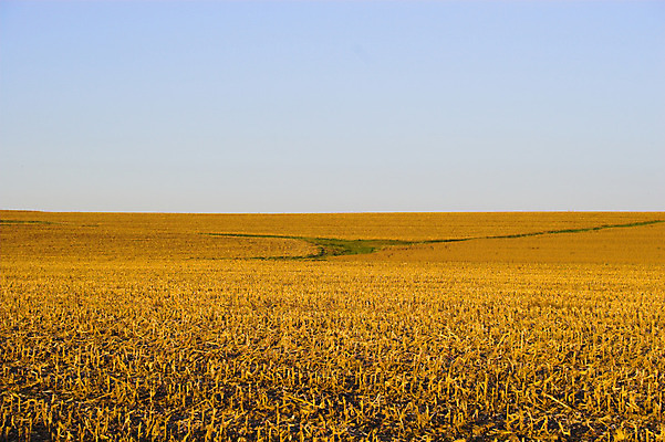 포토 JPG 해외이미지 나무 구름 밭 농업 오렌지 자연 하늘 바람 날씨 옥수수 풍경 사람없음 야외 초록색 여름 파란색 컬러풀 농장 노란색 환경 봄 가을 시골 신선 고독 숲 밀 유기농 대두 밭일 파라다이스 평야 수평선 해외202004 해외포토 자연요소 식물 웰빙 계절 감정 산업 컬러 과일 곡류 생태계 파일형식 이미지허브
