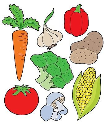 EPS 해외이미지 식물 디자인 음식 잎 토마토 채소 일러스트 감자 파프리카 건강 마늘 옥수수 컬러풀 농장 버섯 당근 신선 최고 그리기 정상 수집 그림 후추 고립 해외202004 해외일러스트 컬러 농업 모션 곡류 뿌리채소 향신료 파일형식 벡터 산업 향미료 양념 이미지허브